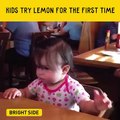 First Time Baby Tasting Lemon Haha Funny Videos HD