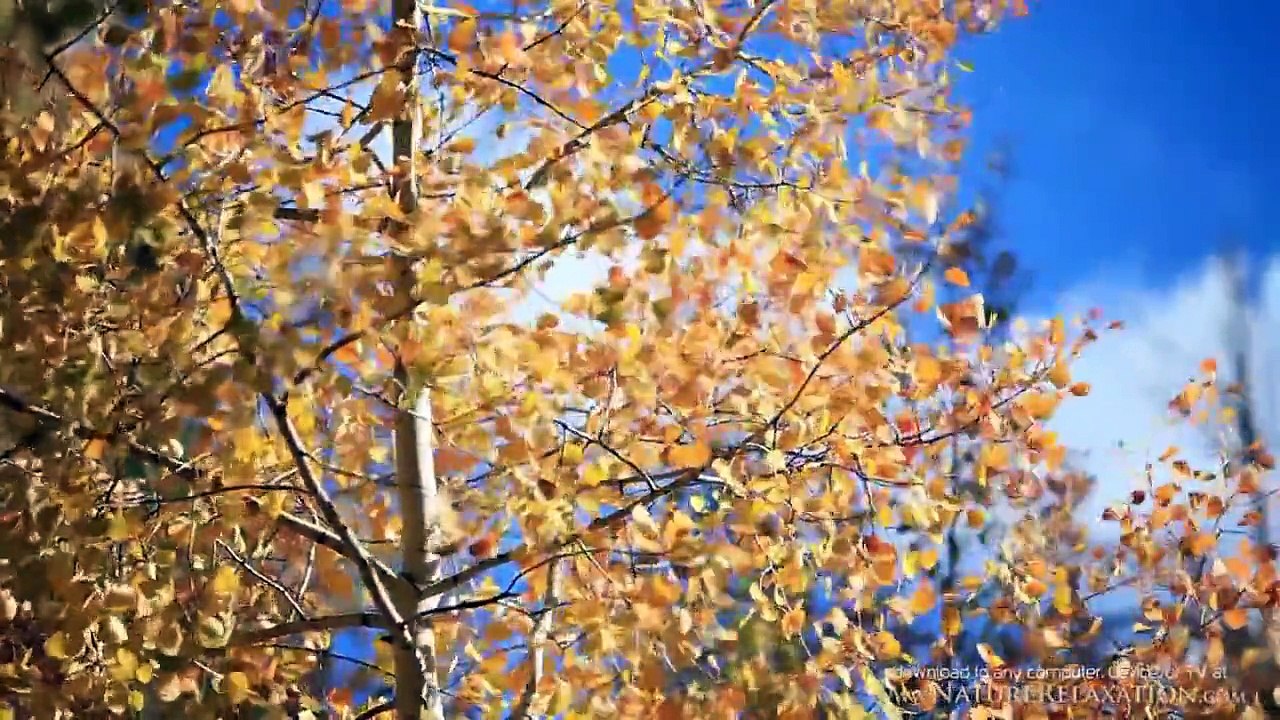 Americas Beautiful West 1080p Healing Relaxation Video Nature Sounds with Music