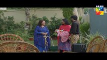 Mohabbat Aag Si Last Episode Full HUM TV Drama 02 Dec 2015