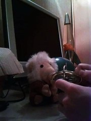 Jouons avec un gyroscope.