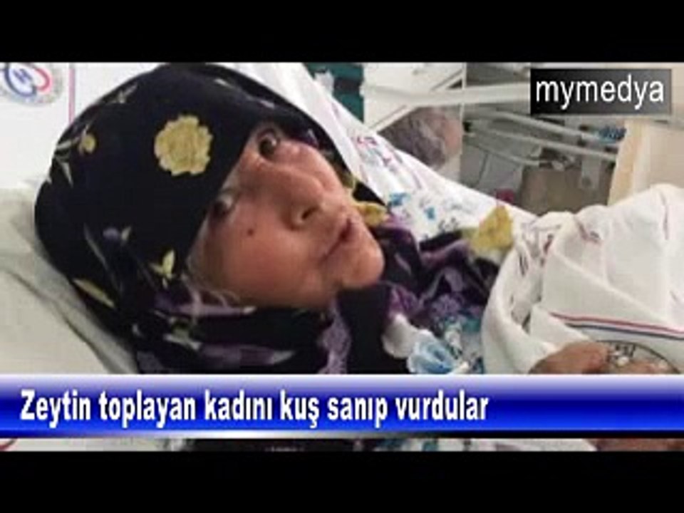 zeytin toplayan kadını kuş zannedip vurmak