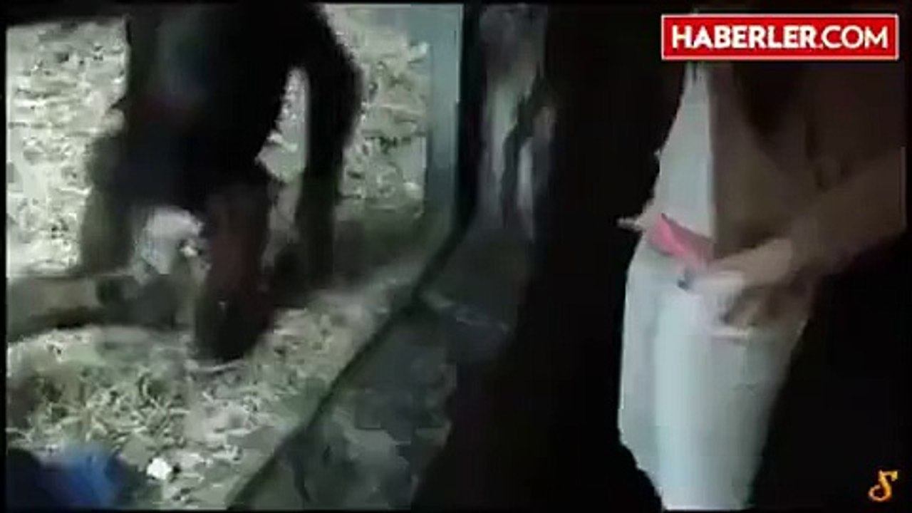 Maymuna İç Çamaşırını Gösteren Ahlak Yoksunu Kadın..