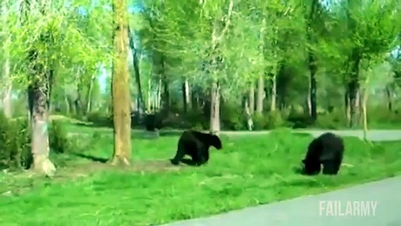 Funniest Animal Fails Compilation    FailArmy