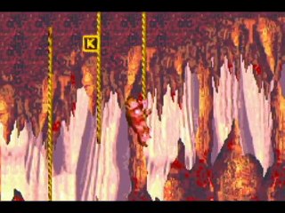 Donkey Kong Country (GBA) Part 18