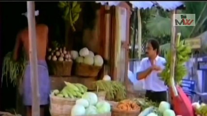 Top Malayalam Movie Comedy Scenes | Malayalam Comedy Scenes | Malayalam Comedy Show