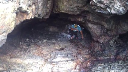 Quelques insectes dans une grotte