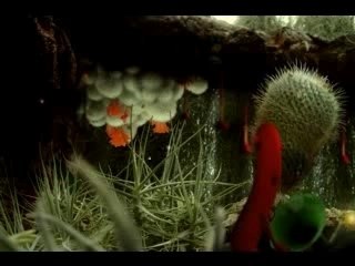 The Album Leaf - On Your Way