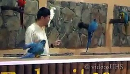 VID-20150205-WA0044.mp4