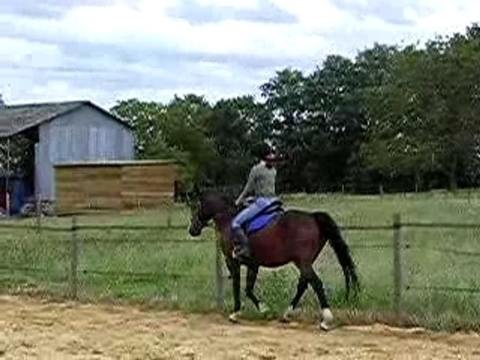 Vepaule en avant