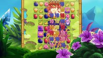 New! Nibblers – Fruit Match Puzzle