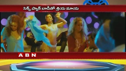 Shriya Saran lifts shirt to show navel