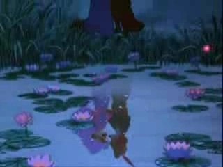 Robin des bois - L 'Amour