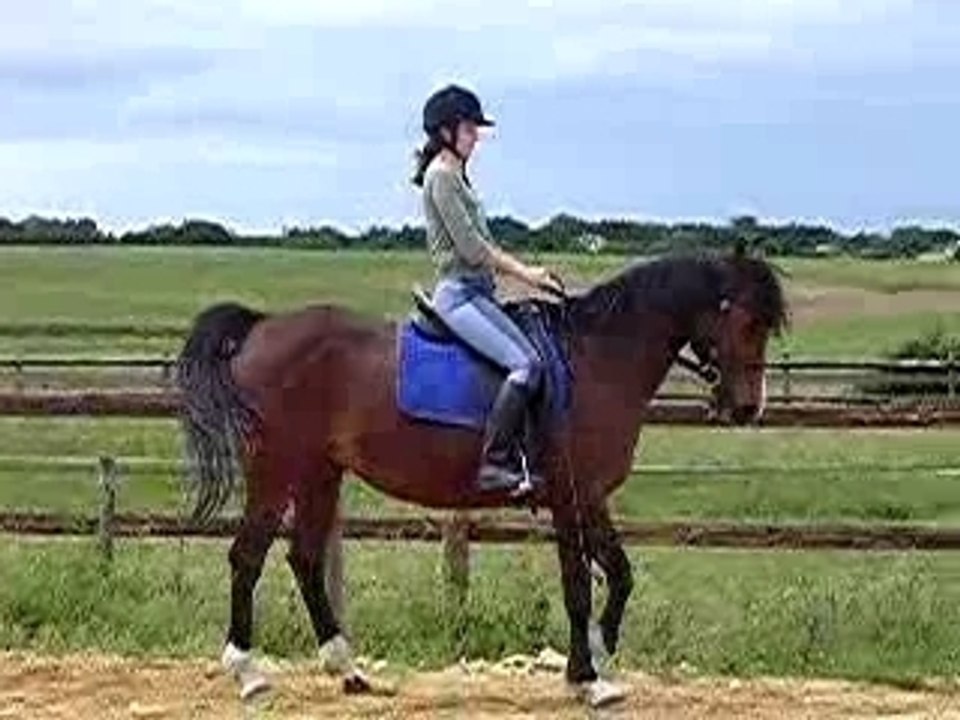Vgalop1
