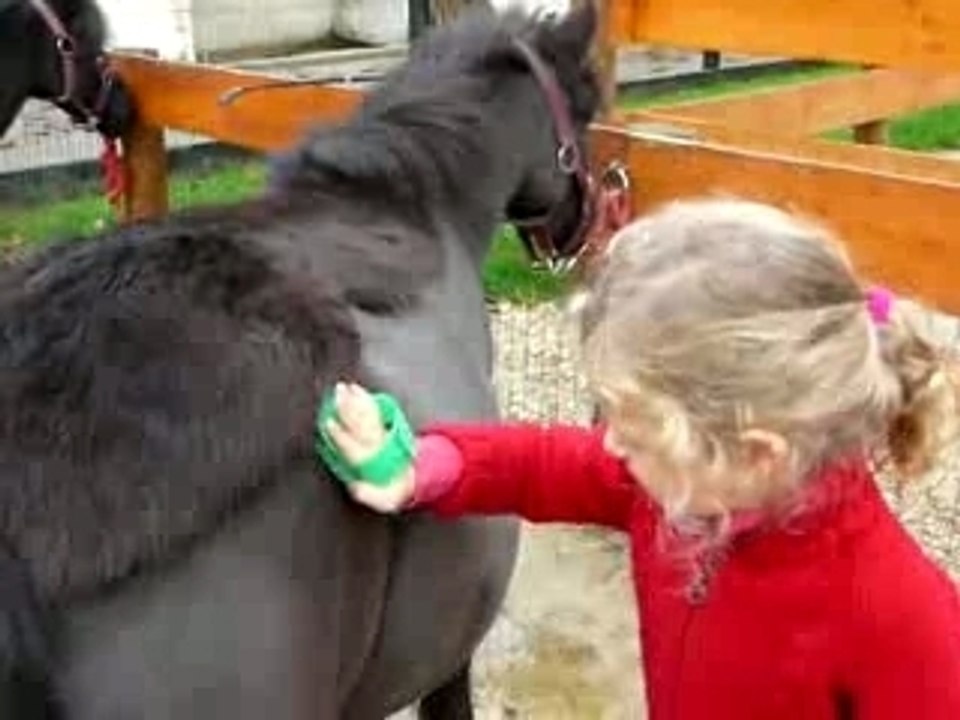 Alice brosse un poney