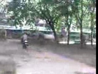 TAZ Tmax A Duclos dns le carré