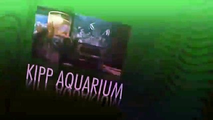 Events at the Houston Zoo Kipp Aquarium