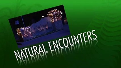 Houston Zoo Natural Encounters