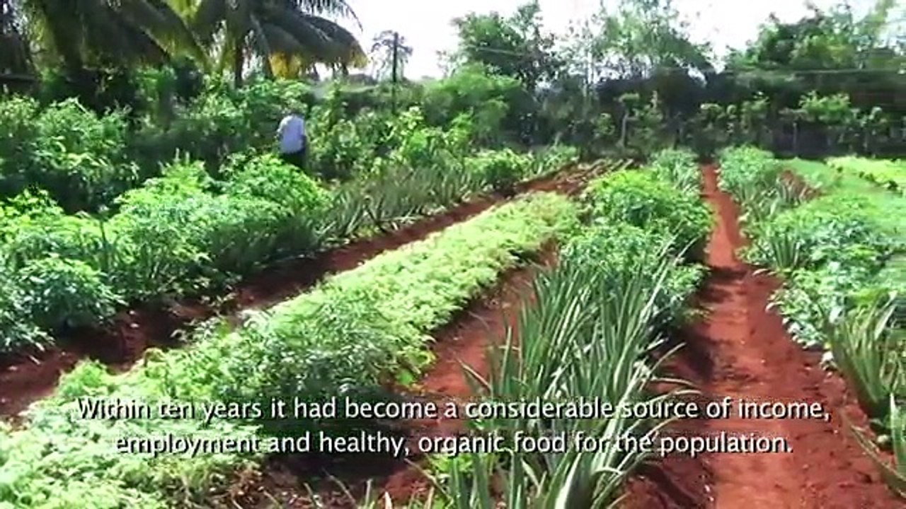 ORGANOPONICO! AN AGRICULTURAL REVOLUTION