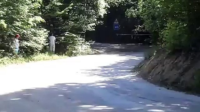 Yalta Rally 2011 2)