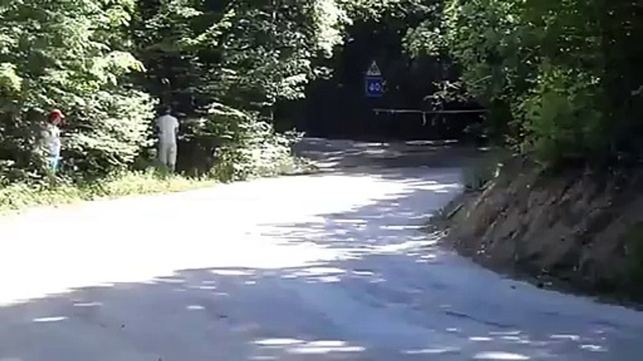Yalta Rally 2011 2)