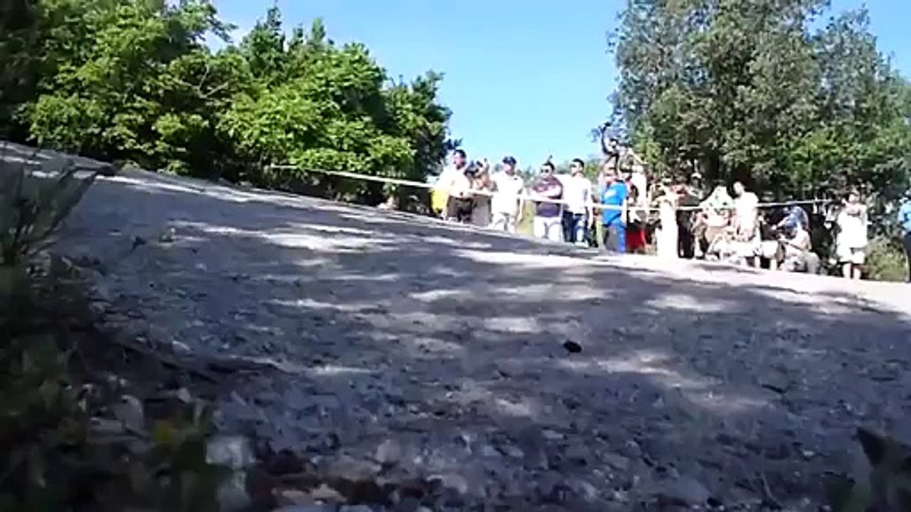 Yalta Rally 2011 10)