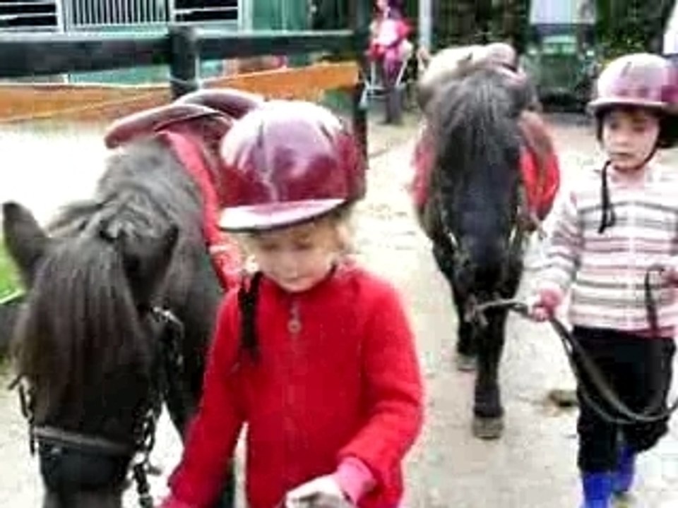 Alice emmène son poney au ménage