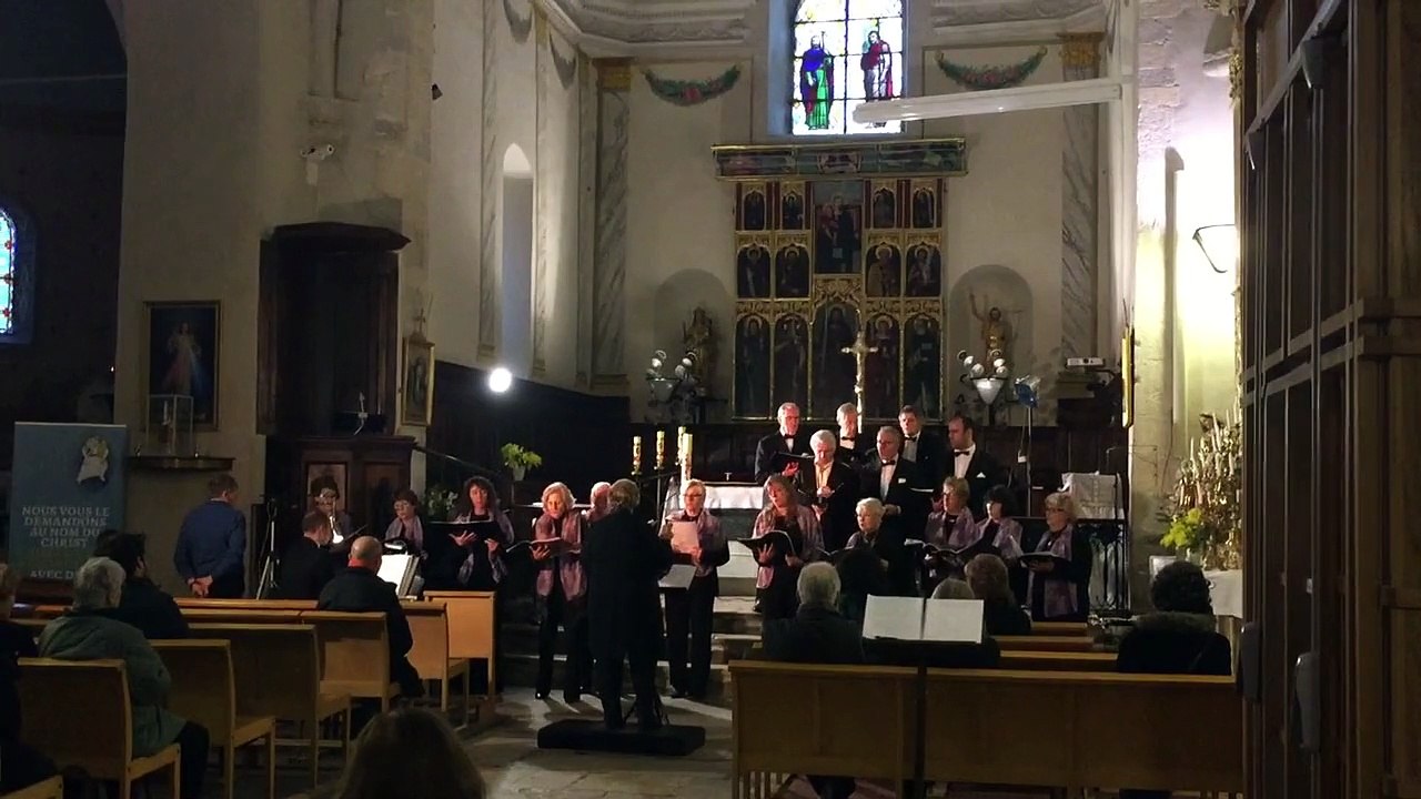 Entre le bœuf et l'âne gris....Bar/Loup.....13/12/2015