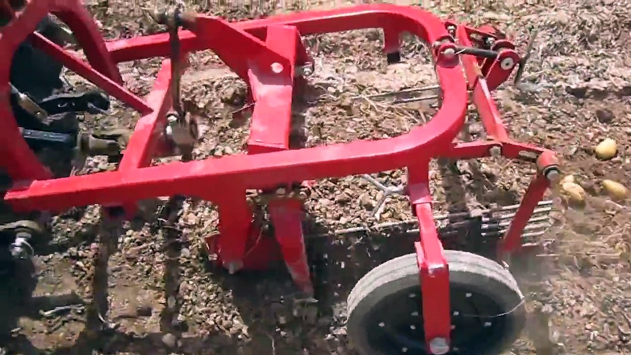 potato digger machine in Malta