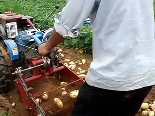 potato harvester viedo.MPG