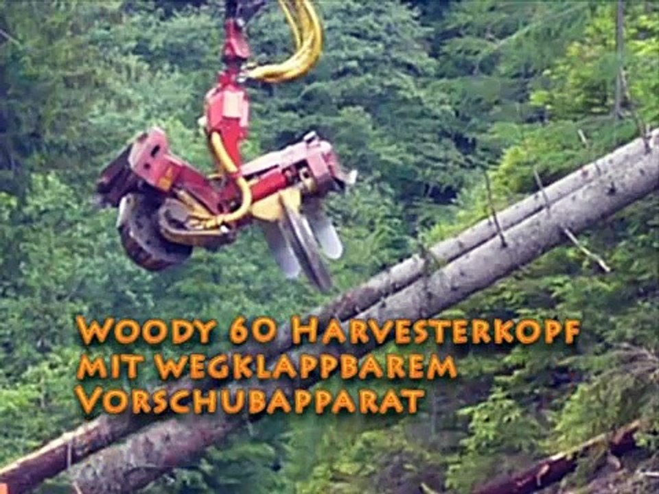 Woody 60 Processor von Konrad Forsttechnik