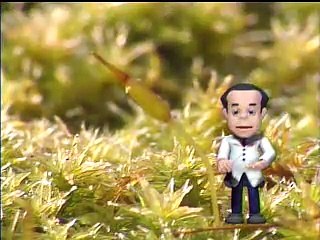 家の屋根に苔シート