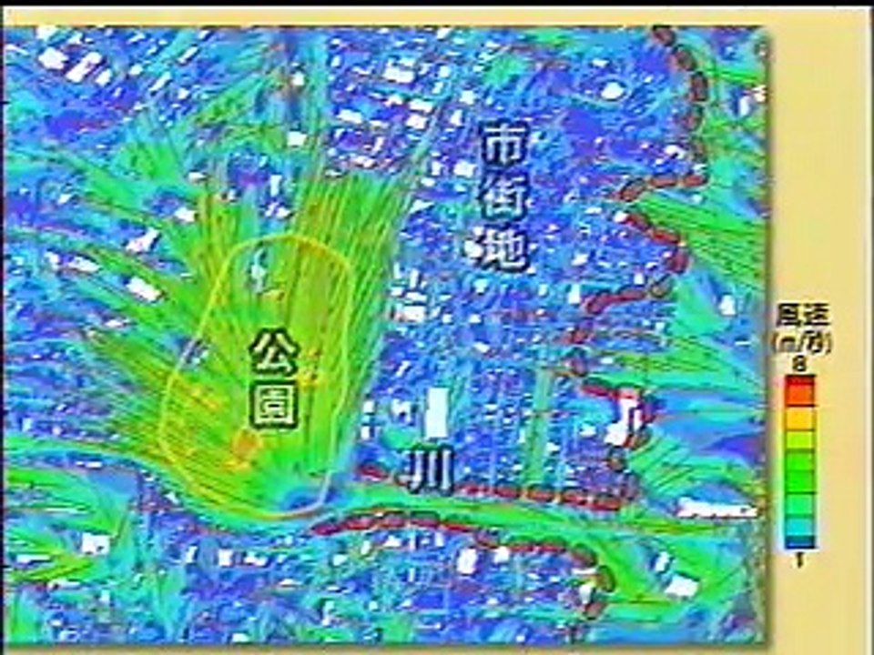 屋上緑化でヒートアイランド対策