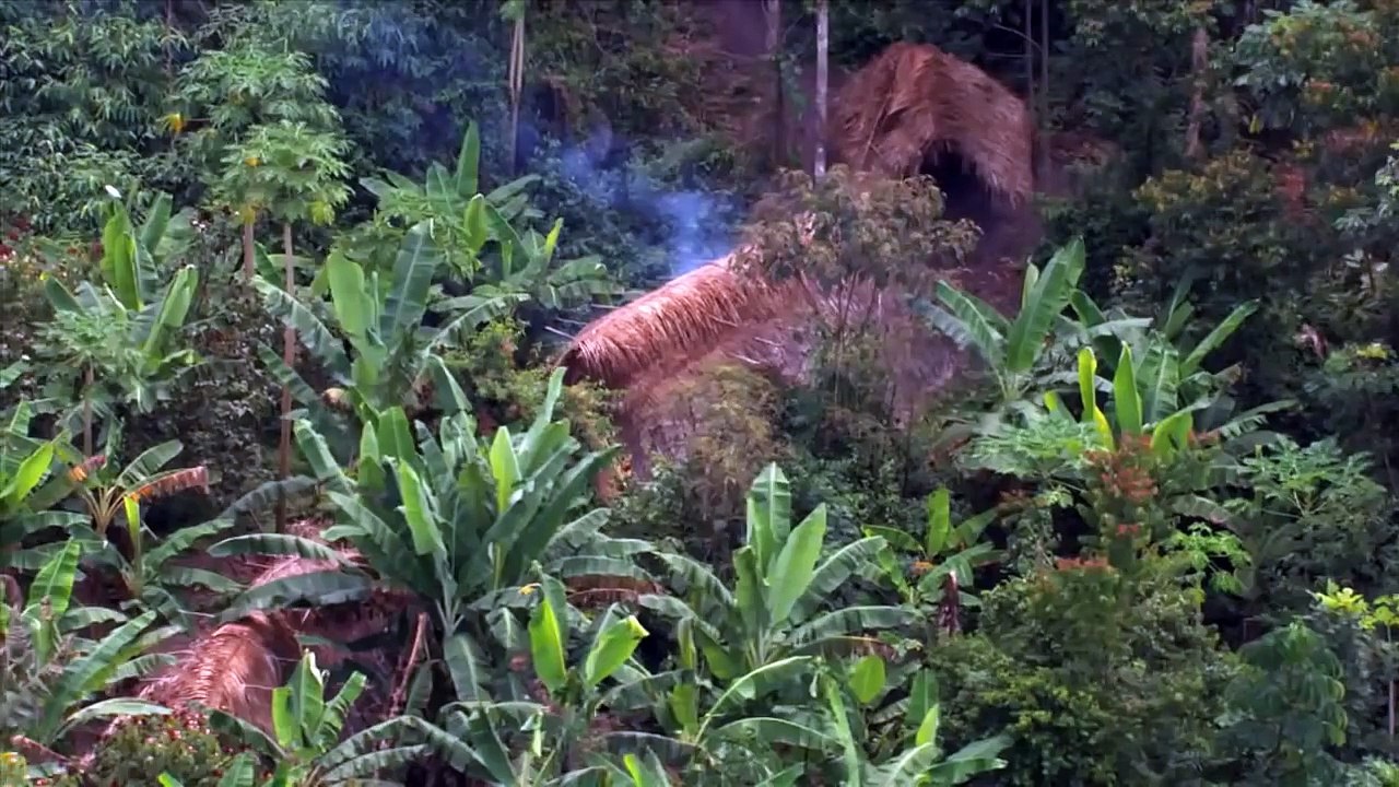 Uncontacted Amazon Tribe: First Ever Aerial Footage