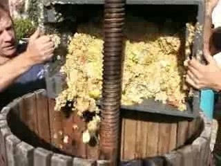 Pressing Apple Juice in Yvoire