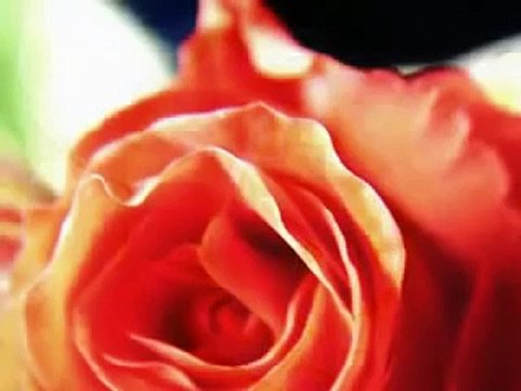 Evlilik Ancak Bu Kadar Güzel Anlatılır