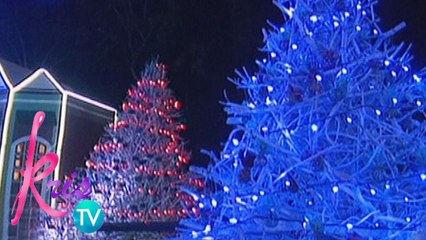 Kris TV: Recycled Christmas Trees