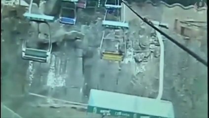 Man jumps on to tiger enclosure in China