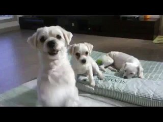 #QlO↔2178↔9505분당#분당안마#분당출장안마#분당마사지#분당출장마사지