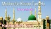 Mahboobe Khuda Tum Ho ☪☪ Beautiful Naat Sharif ☪☪ Habibullah Faizi [HD]