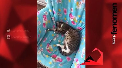 Yanındakine ansızın bağır