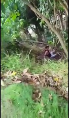 what happens when you prank your girlfriend