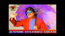 Gory Chitay - Ameer Niazi - Charkha - Vol 4 - New Hits Song