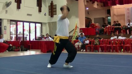 Human Mobile Stage 98, 2015 Zhou Jia Quan Int'l conference@Singapore, Lion Dance Kung Fu