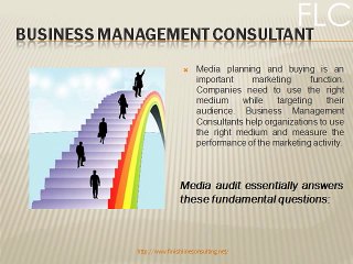 Business Management Consultant