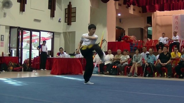 Human Mobile Stage 100, 2015 Zhou Jia Quan Int'l conference@Singapore, Kung Fu