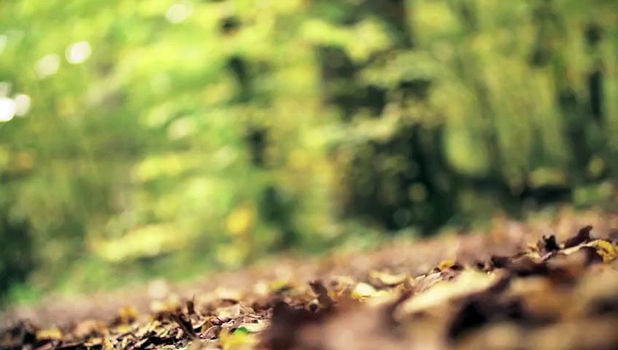 Audi RS 7 Sportback performance