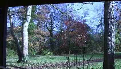 FUN : MOOC "Les origines moléculaires de la vie"