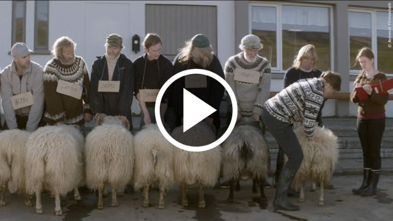 Sture Böcke Trailer (Deutsch)