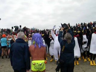 Baignade des Otaries 2015  échauffement