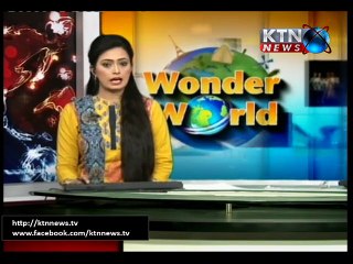 Wonder World-Roshni Memon 19th December 2015